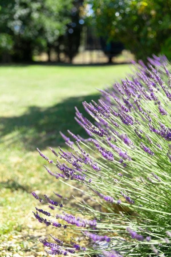 Mas Coeur De Provence Calme Luxe Grand Parc Vila Pernes-les-Fontaines Exterior foto