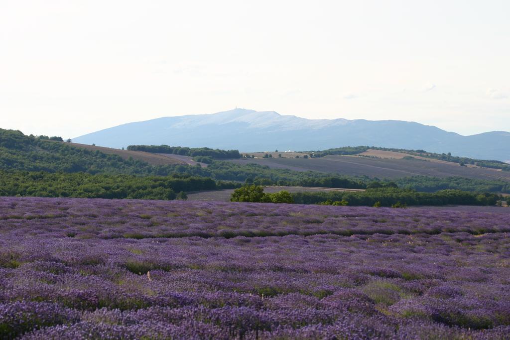 Mas Coeur De Provence Calme Luxe Grand Parc Vila Pernes-les-Fontaines Quarto foto