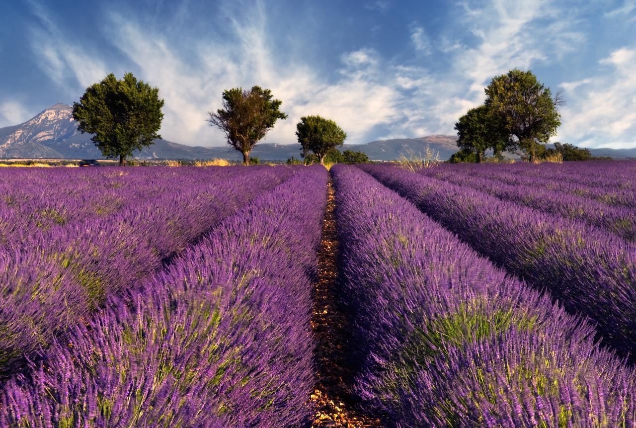 Mas Coeur De Provence Calme Luxe Grand Parc Vila Pernes-les-Fontaines Exterior foto